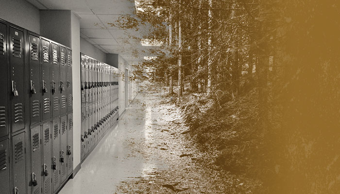 A school hallway, principals testimony about Scouting